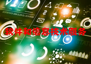 軟件和信息技術(shù)服務(wù)行業(yè)運(yùn)行態(tài)勢與競爭格局分析 附報(bào)告目錄