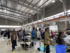 電動車行業首家獨資海外工廠成立,雅迪助推中國制造走向世界