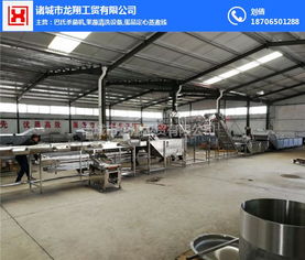 龍翔工貿(mào)機(jī)械公司 五香鵪鶉蛋定心蒸煮流水線報價高清圖片 高清大圖