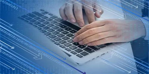 新it驅(qū)動(dòng)數(shù)字化新浪潮,信息技術(shù)服務(wù)漲勢(shì)如虹