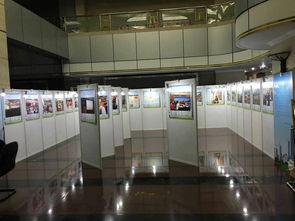 深圳展板出租規(guī)格及專(zhuān)業(yè)展覽服務(wù)指南